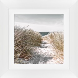 Obraz trawy na plaży