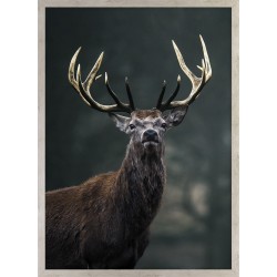 Obraz strong deer