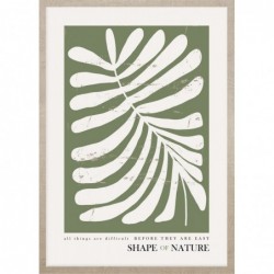 Obraz shape of nature no.1