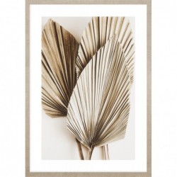 Obraz dried palm leaves no.1