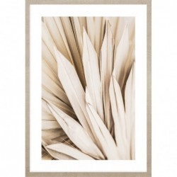 Obraz dried palm leaves no.2