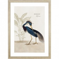 Obraz heron louisiana