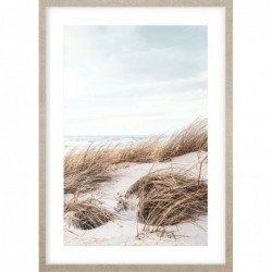 Obraz coastal dunes no.1