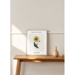 Obraz botanical garden of sunflower