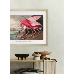 Obraz spoonbill and flamingo
