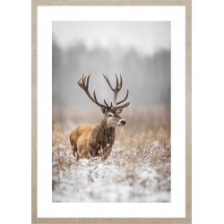 Obraz deer in winter scenery