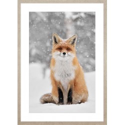 Obraz fox in winter scenery