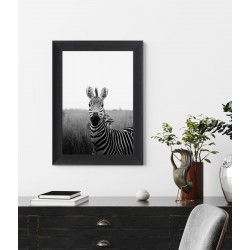Obraz intriguing zebra