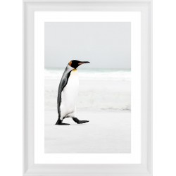 Obraz penguin on the beach
