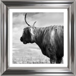 Obraz krowa szkocka II