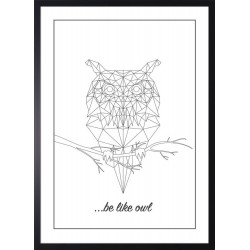 Obraz line owl
