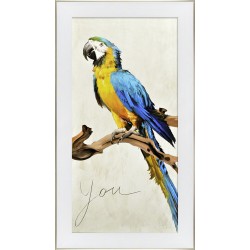 Obraz kolorowa papuga II