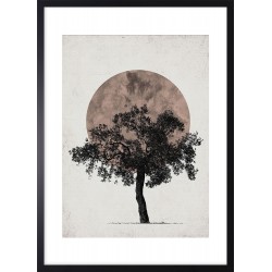 Obraz drzewo zen